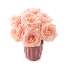 Flowers & Gifts